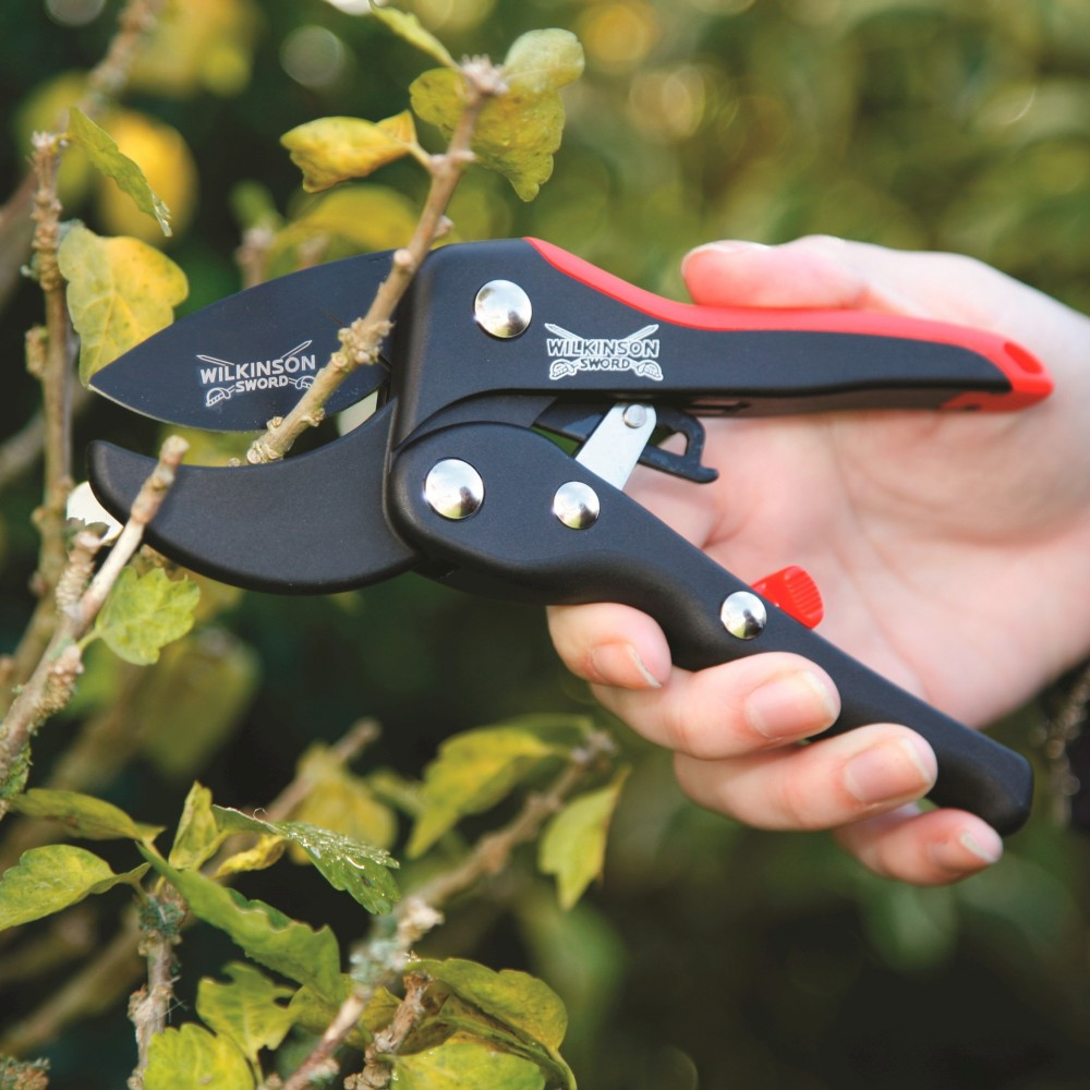 Ratchet anvil pruner discount